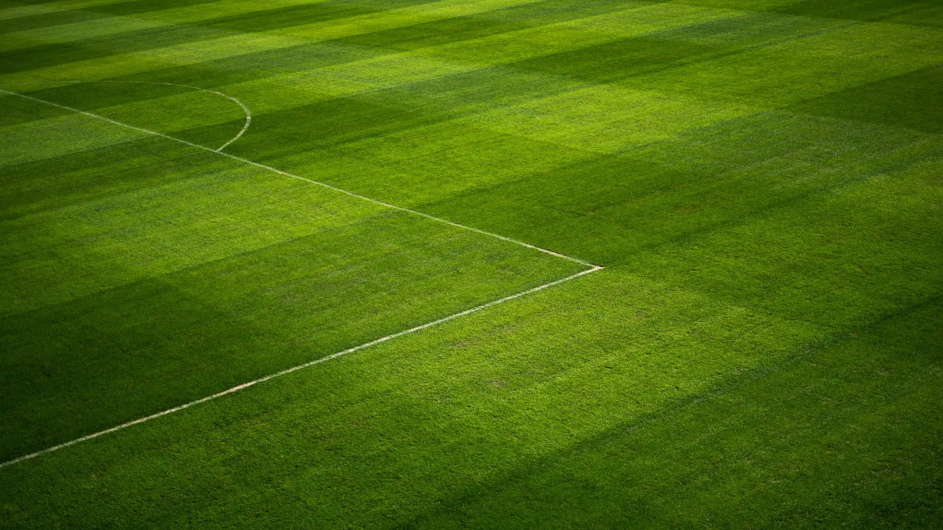 Césped de un estadio de fútbol con las líneas del campo