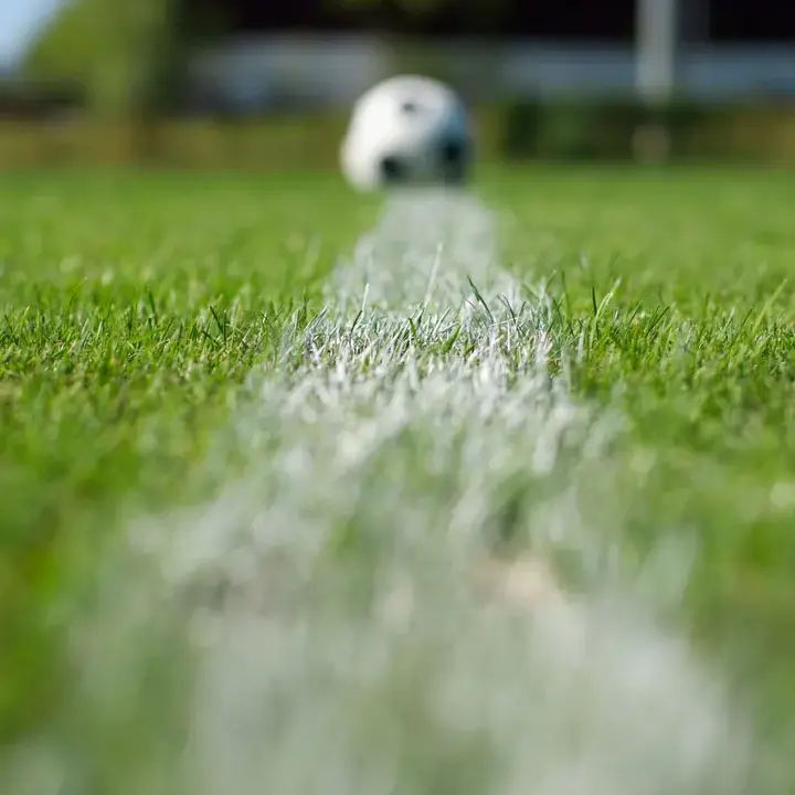 Balón sobre la línea de cal del campo