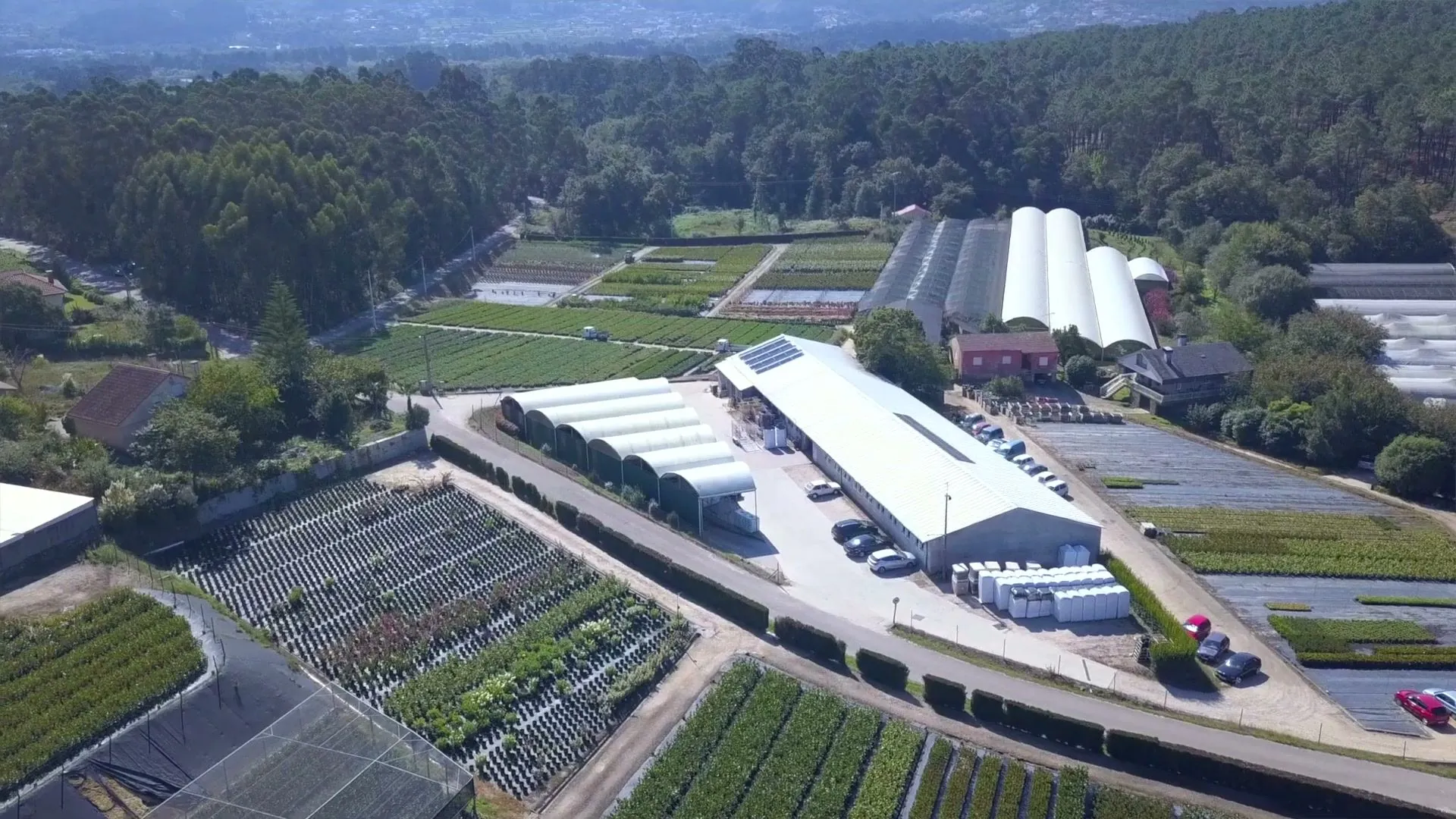 Vivero ornamental a vista de dron