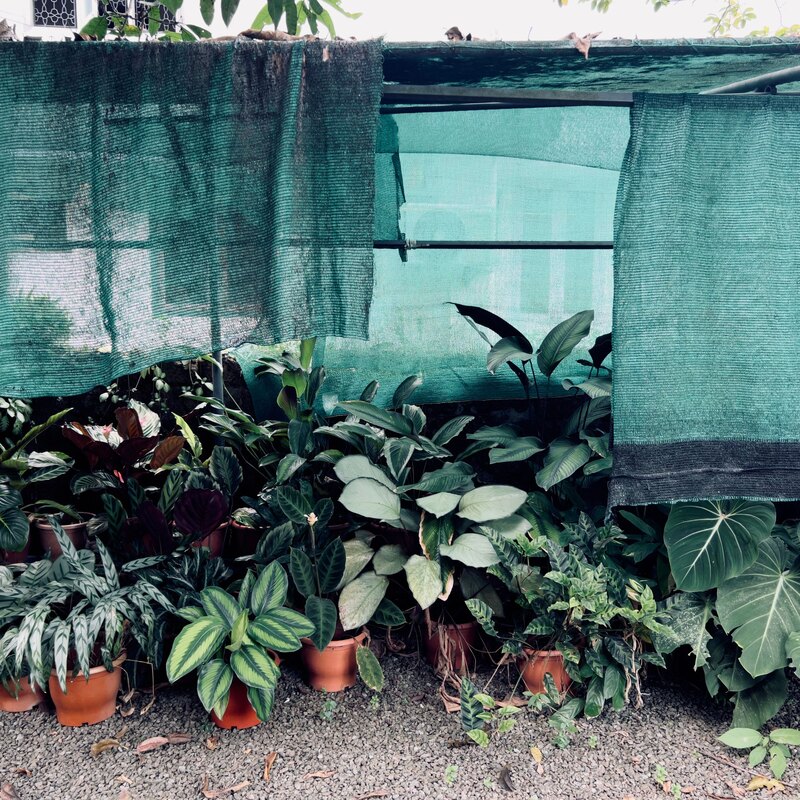 Malla de ocultación