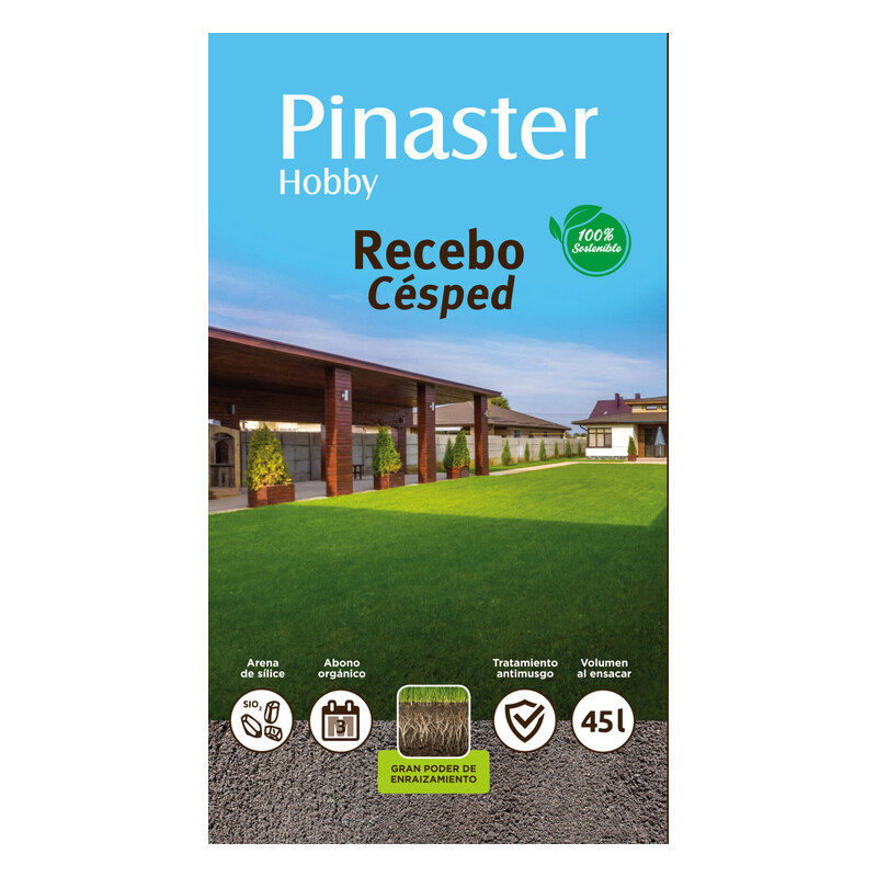 Recebo Pinaster Hobby
